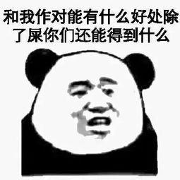 我不是这个,我不是这个背后的故事与真相
