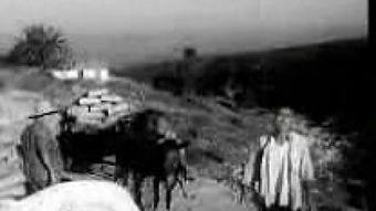 勐垅沙,探寻西南边陲的生态明珠与民族风情