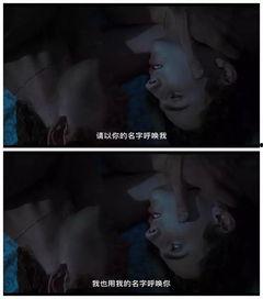 当我呼唤你的名字,探寻名字背后的情感与记忆