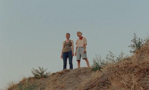 直到树枝弯曲,自然与生命的和谐交响